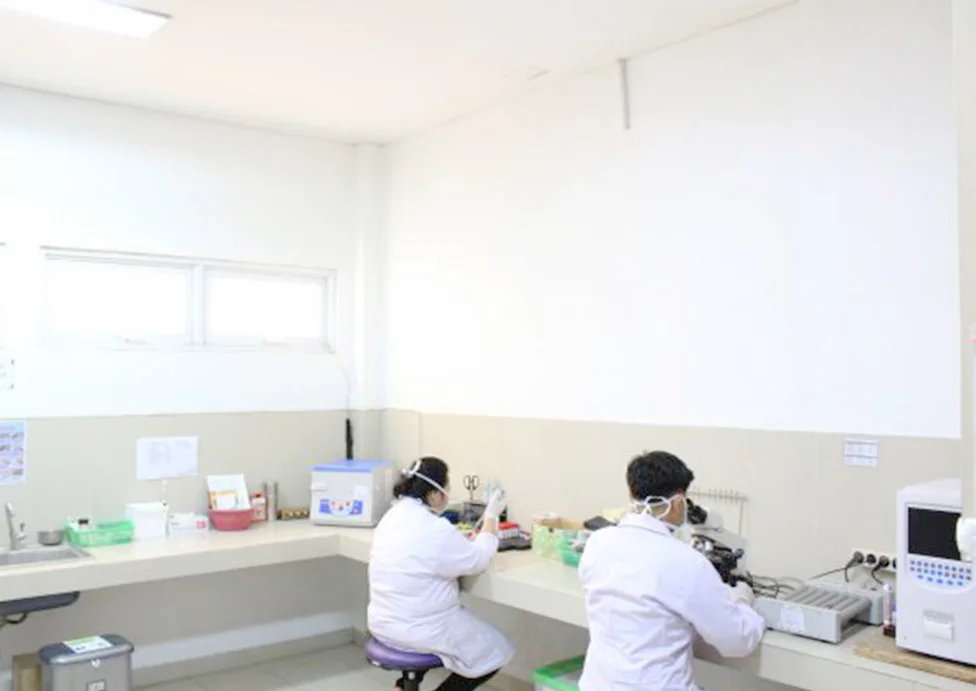 LAB-2